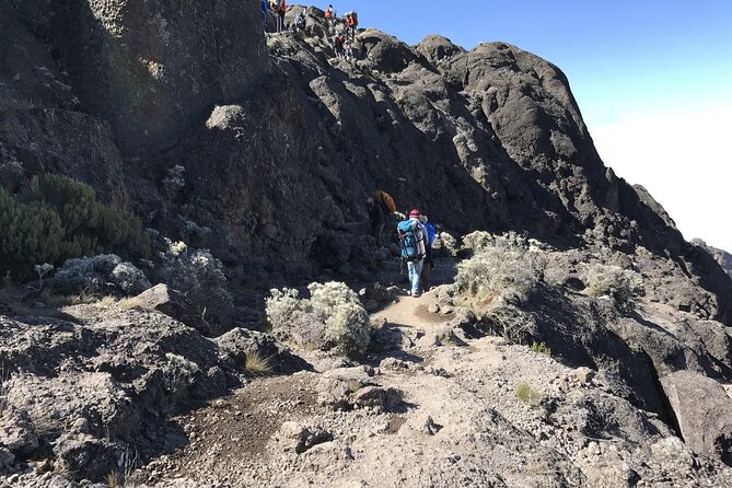 5D/4N Climbing Kilimanjaro Marangu (Coca-Cola Route). - Booking and Cancellation Policy