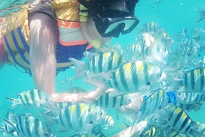 5D/4N (Hostel) Backpacker Lombok Tour Package - Hostel Accommodation Details