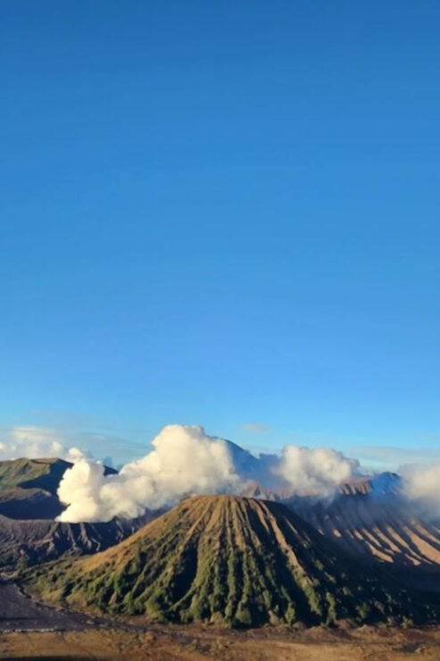 5D Borobudur,Prambanan, Tumpaksewu, Bromo, Ijen Tour to Bali - Included Amenities