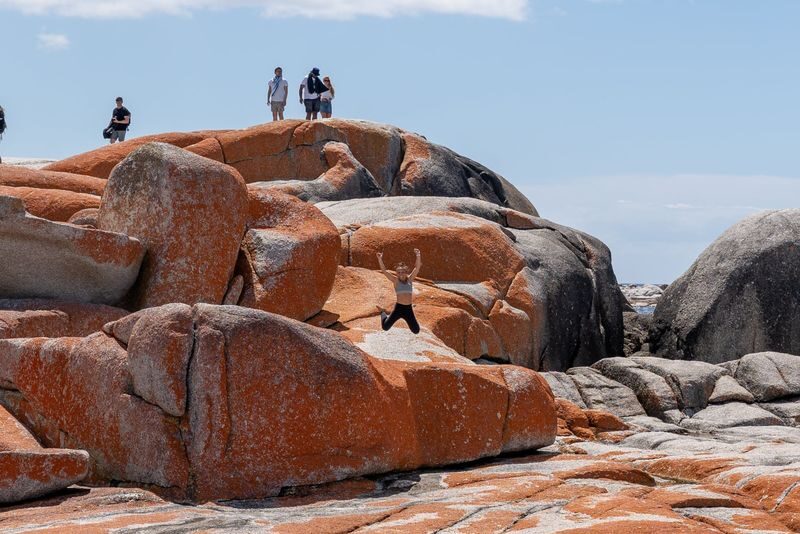 5D4N Famous 5 Tasmania Tour - The walking is a feature, not a footnote
