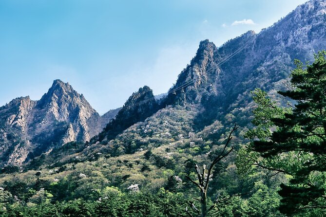 5D4N Seoul and Gangwon (Mt. Seorak, Sokcho) With 4 Star Hotel - Pickup Information