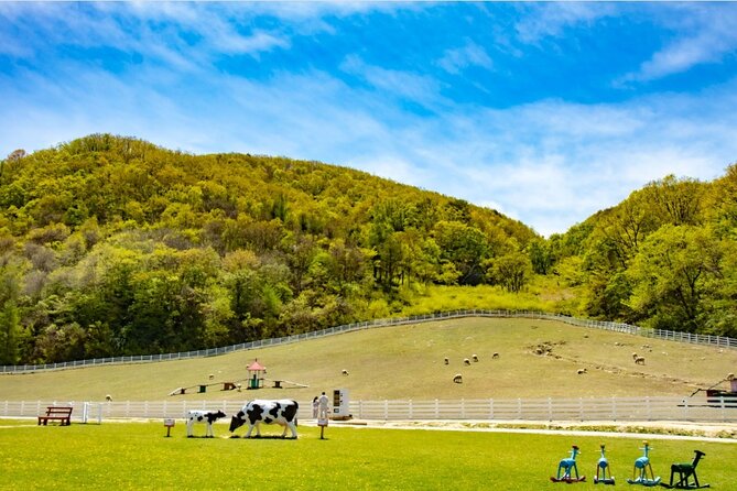 5D4N Seoul and Gangwon (Mt. Seorak, Sokcho) With 4 Star Hotel - Additional Information
