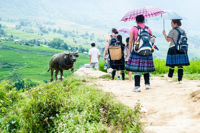 5days 4nights Lan Ha Bay-Sapa-Ninh Binhfree Airport Transfer &Street Food Tour - Important Information for Travelers