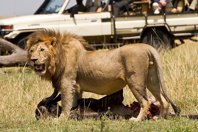 5Days Tanzania Camping Safari to Lake Manyara Serengeti and Ngorongoro Crater From Arusha - Camping Accommodation Details