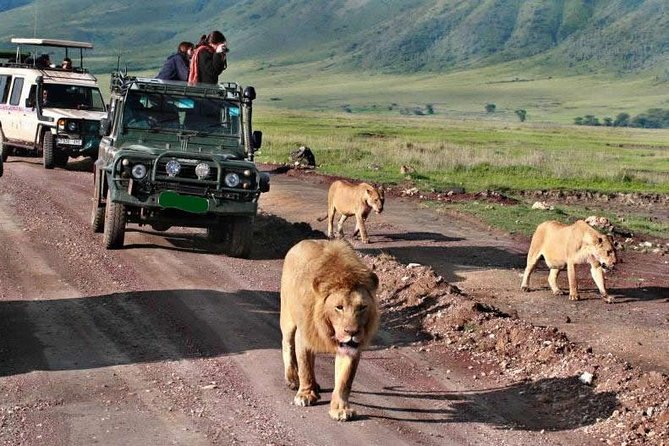 5Days Tanzania Camping Safari to Lake Manyara Serengeti and Ngorongoro Crater From Arusha - Cancellation Policy