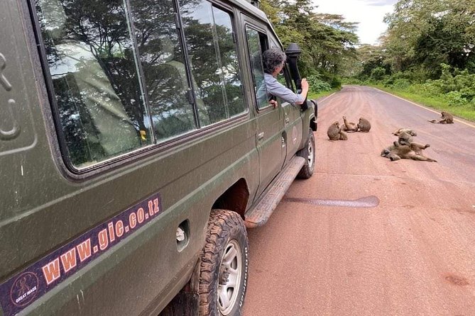 5days Tarangire,Serengeti,Ngorongoro Crater and Lake Manyara National Park - Logistics & Information