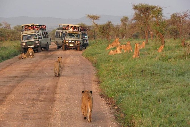 5days Tarangire,Serengeti,Ngorongoro Crater and Lake Manyara National Park - Pickup Details