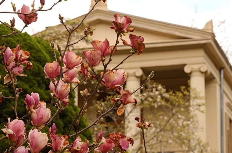 5h Potsdam Private Tour With Guide, Chauffeur & Photographer - Inclusions and Benefits
