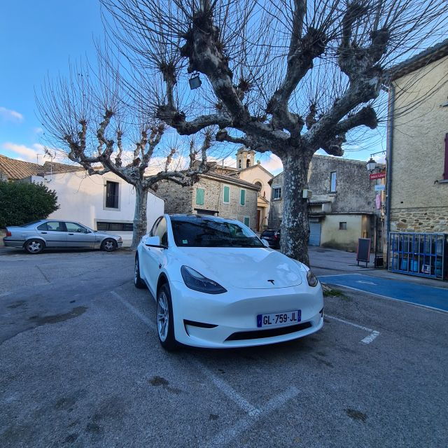 5h Tour in Tesla of Marseille - Tour Experience