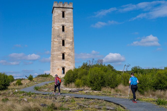 5hr Eden Tour in Nature; Beach, Lookout & National Park - Tour Itinerary
