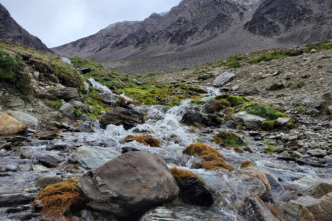 5hrs of Trekking Experience in Martial Glacier - Inclusions and Exclusions