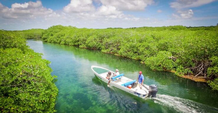 5hs Snorkel Trip: Bird Island, Manatee Reserve & Marine Park - Good To Know