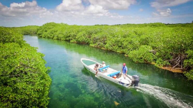 5hs Snorkel Trip: Bird Island, Manatee Reserve & Marine Park - Booking Information