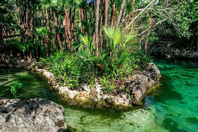 5x1 Tulum, Mayan Village, Buffet, Cenote, Muyil & Playa Del Carmen - Exploring the Cenote