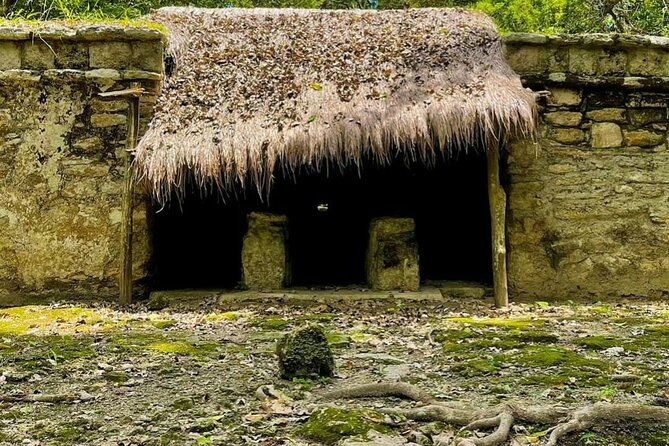 5x1 Tulum, Mayan Village, Buffet, Cenote, Muyil & Playa Del Carmen - Common Questions