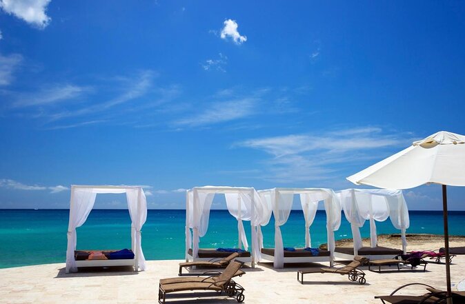 6 1 Full Day Isla Saona Tour and Snorkel in Natural Pool Mangroves Punta Cana - Saona Island Exploration