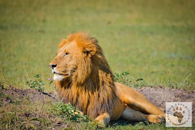 6-Day 5 Nights Masai Mara, Lake Nakuru & Amboseli Budget Safari - Pickup and Meeting Point Information