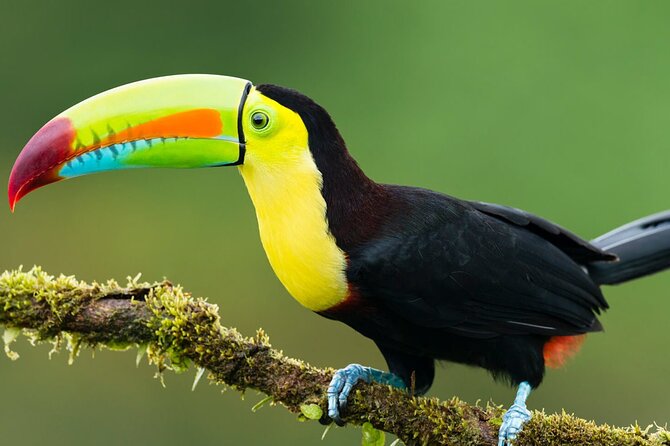 6-Day All Inclusive Guided Jungle Tour From Iquitos at Maniti Eco-Lodge - Exclusions and Additional Information