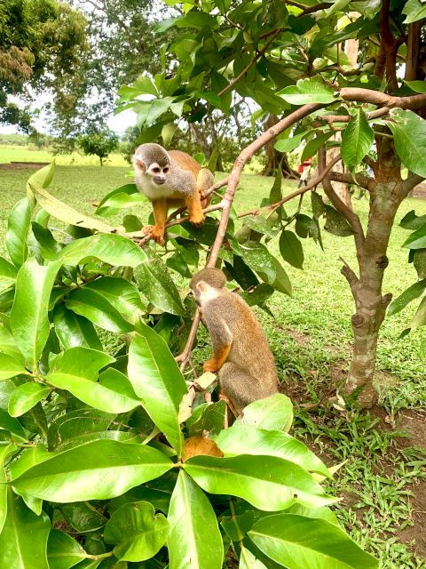 6-Day All Inclusive Pacaya Samiria Reserve From Iquitos - Booking Details