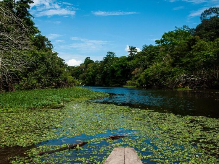 6-Day All Inclusive Pacaya Samiria Reserve From Iquitos - Experience Highlights