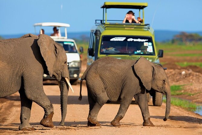 6-Day Amboseli, Nakuru, and Maasai Mara Safari on 4x4 Landcruiser - Inclusions and Exclusions