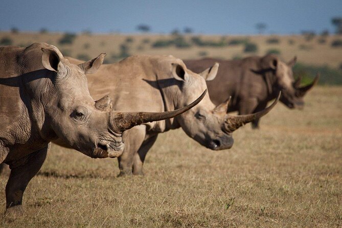 6-Day Amboseli, Nakuru, and Maasai Mara Safari on 4x4 Landcruiser - Optional Activities