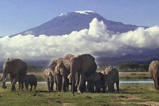 6-Day Amboseli, Nakuru, and Maasai Mara Safari on 4x4 Landcruiser - Booking Information