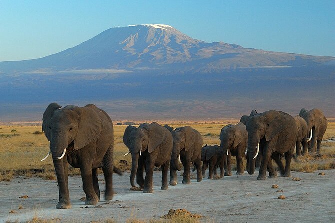 6-Day Amboseli, Nakuru, and Maasai Mara Safari on 4x4 Landcruiser - Important Notes