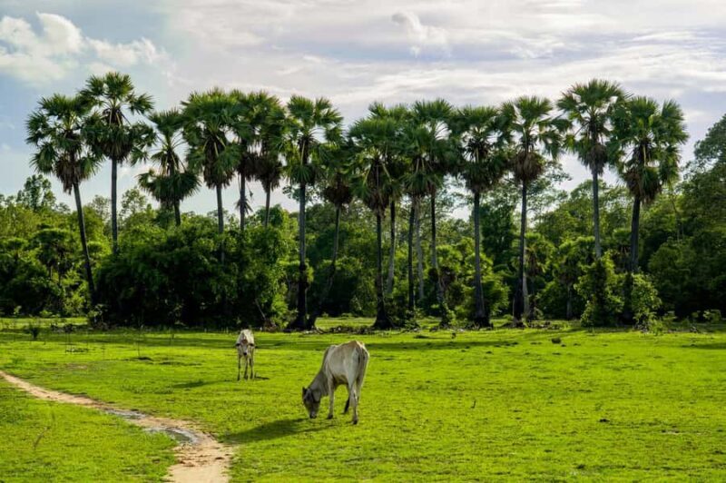 6-Day Authentic Cambodia Tour from Siem Reap to Battambang - Good To Know