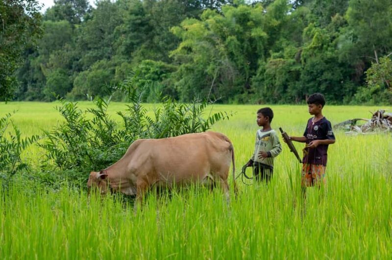 6-Day Authentic Cambodia Tour from Siem Reap to Battambang - Final Thoughts