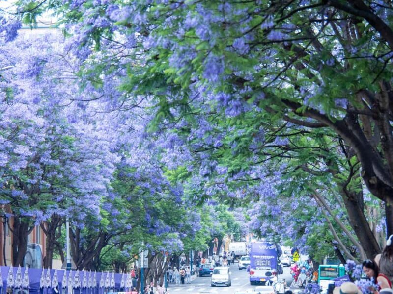 6-Day Authentic Yunnan & Heritage Trail Tour - Good To Know