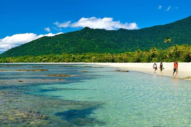 6-Day Best of Cairns Including the Great Barrier Reef, Kuranda and the Daintree Rainforest - Daily Tours and Activities