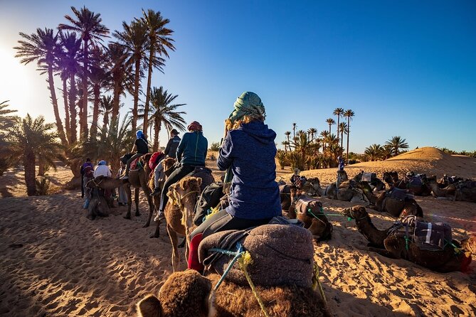 6 Day Camel Trek Desert Morocco Adventure Tour - Itinerary Highlights