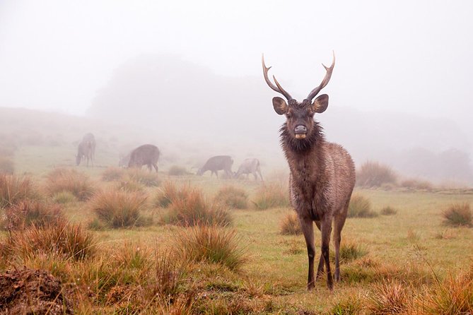 6-Day Central Highlands UNESCO World Heritage Adventure Tour - Booking and Cancellation Policy
