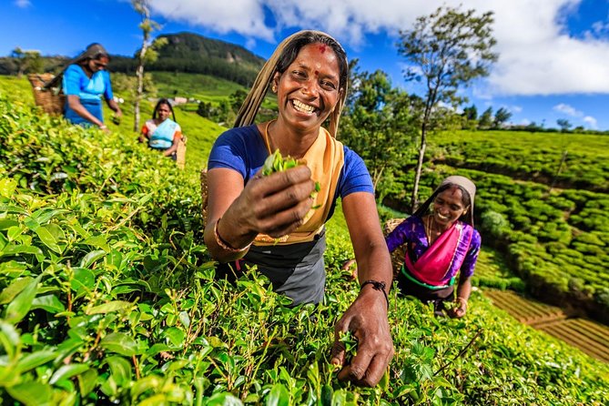 6-Day Central Highlands UNESCO World Heritage Adventure Tour - The Sum Up