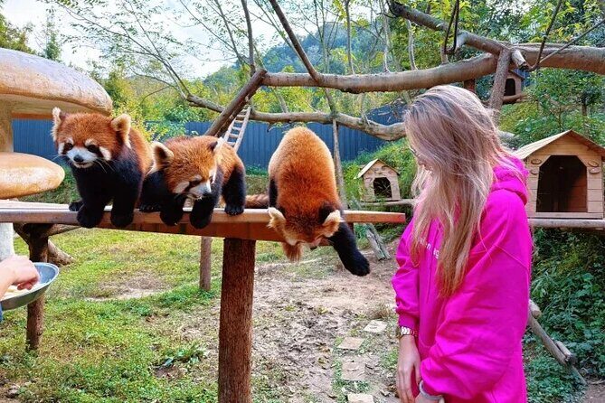 6-Day Chengdu Free Tour with Accommodation and Airport Transfer - An In-Depth Look at the 6-Day Chengdu Tour