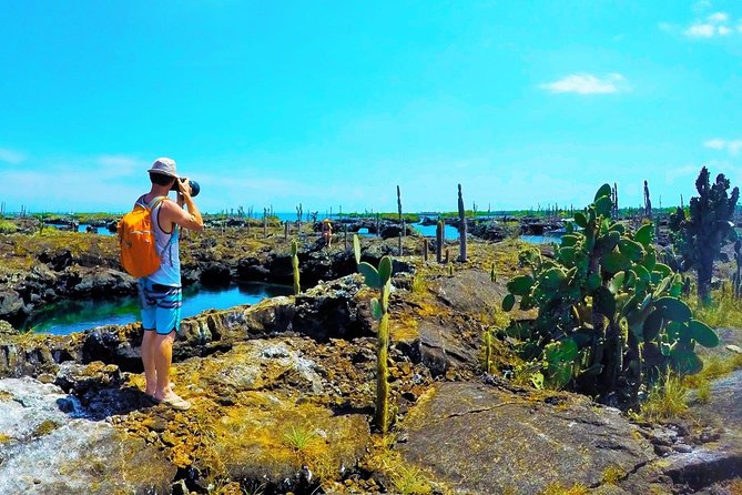 6-Day Galapagos Island Hopping Tour: Santa Fe, Santa Cruz and Los Tuneles - Tour Overview