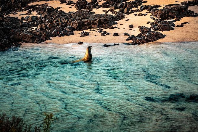 6-day Galapagos on a Budget Experience - Tour Highlights