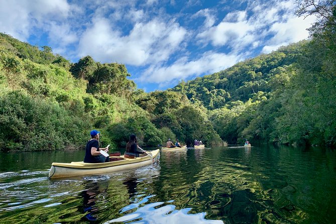 6-Day Garden Route & Addo South African Adventure From Cape Town - Pricing and Booking Information