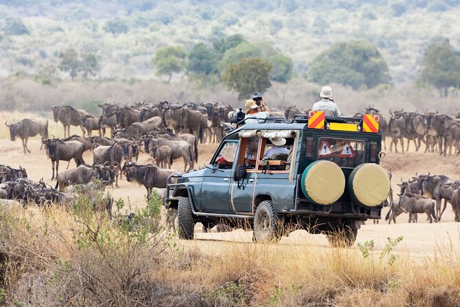 6-Day Giraffe Center Lake Naivasha Hells Gate and Masai Mara - Meals Included
