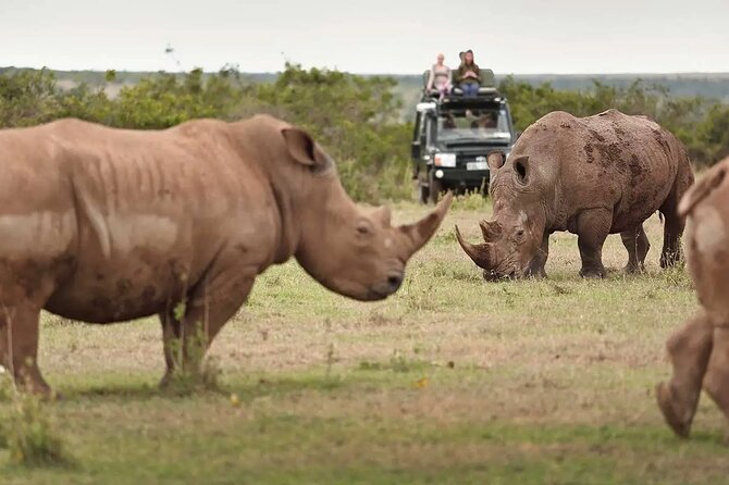 6-Day Giraffe Center Lake Naivasha Hells Gate and Masai Mara - Additional Costs and Inclusions