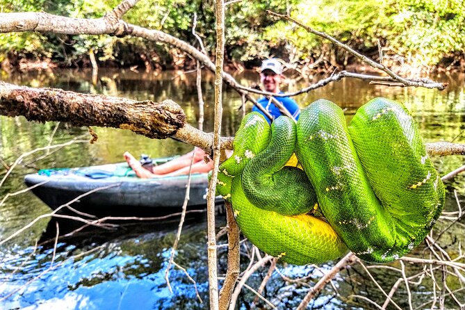 6-Day Guided Kayak Expedition in the Amazon - Itinerary Details