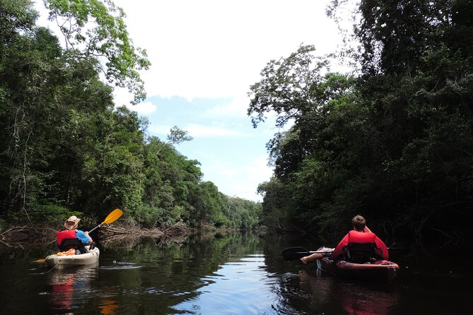 6-Day Guided Kayak Expedition in the Amazon - Inclusions and Exclusions