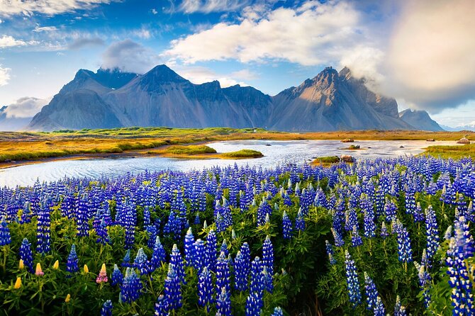 6-Day Guided Ring Road Iceland Tour From Reykjavik - Reviews