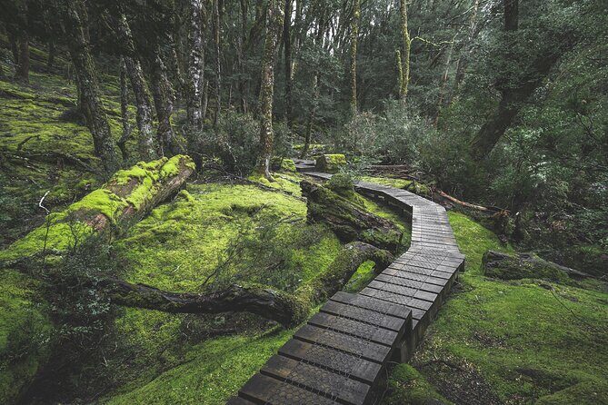 6 Day Island Icons Tassie Day Tour Bundle - Who Is This Tour Best For?