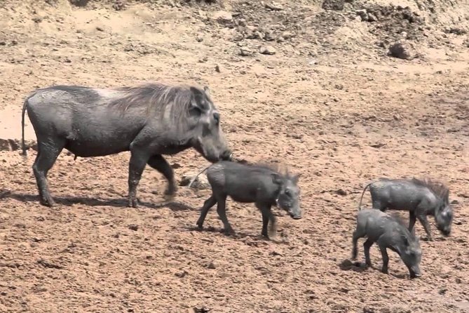 6-Day Kenya and Tanzania Safari - Booking Information