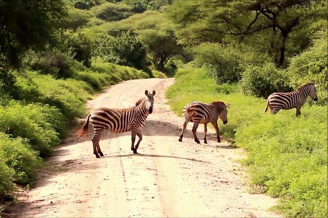 6-day Lake Manyara Serengeti Ngorongoro Crater and Tarangire - What to Expect