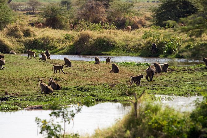 6-day Lake Manyara Serengeti Ngorongoro Crater and Tarangire - The Sum Up