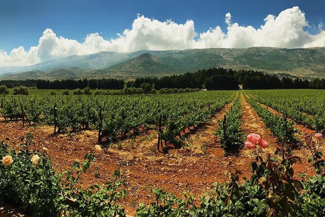 6-Day Lebanon Private Tour With Airport Pickup - Guided Tours Information