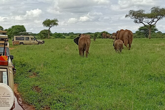 6-Day Luxury Safari in Northern Tanzania - Culinary Delights